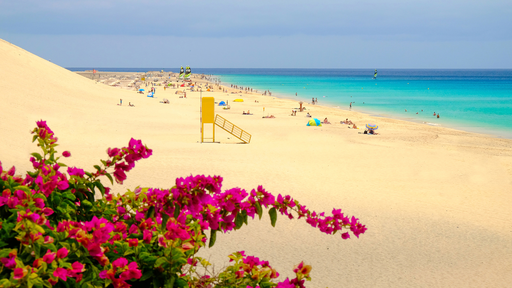 Urlaub auf Fuerteventura Reiseführer für die Kanarische Vulkaninsel